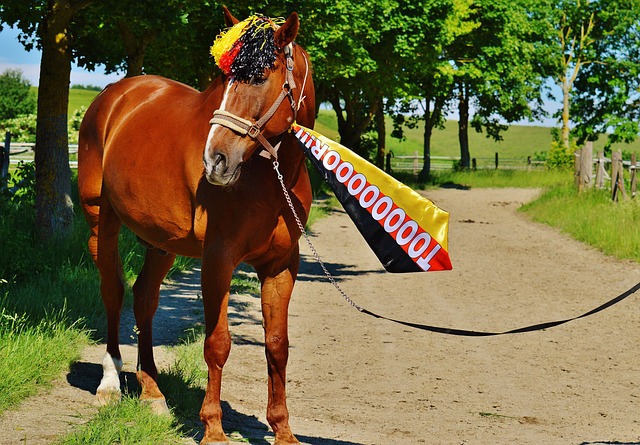 徹底撕裂 徹底撕裂