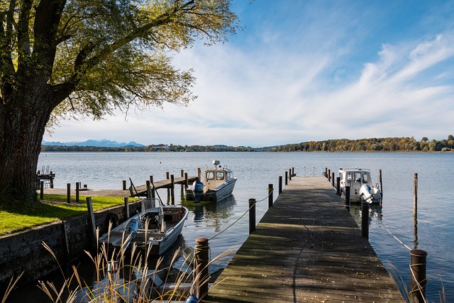 上海队的表 上海队的表